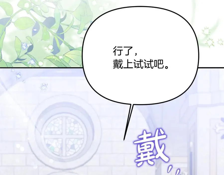 第74话 胸针的意义195