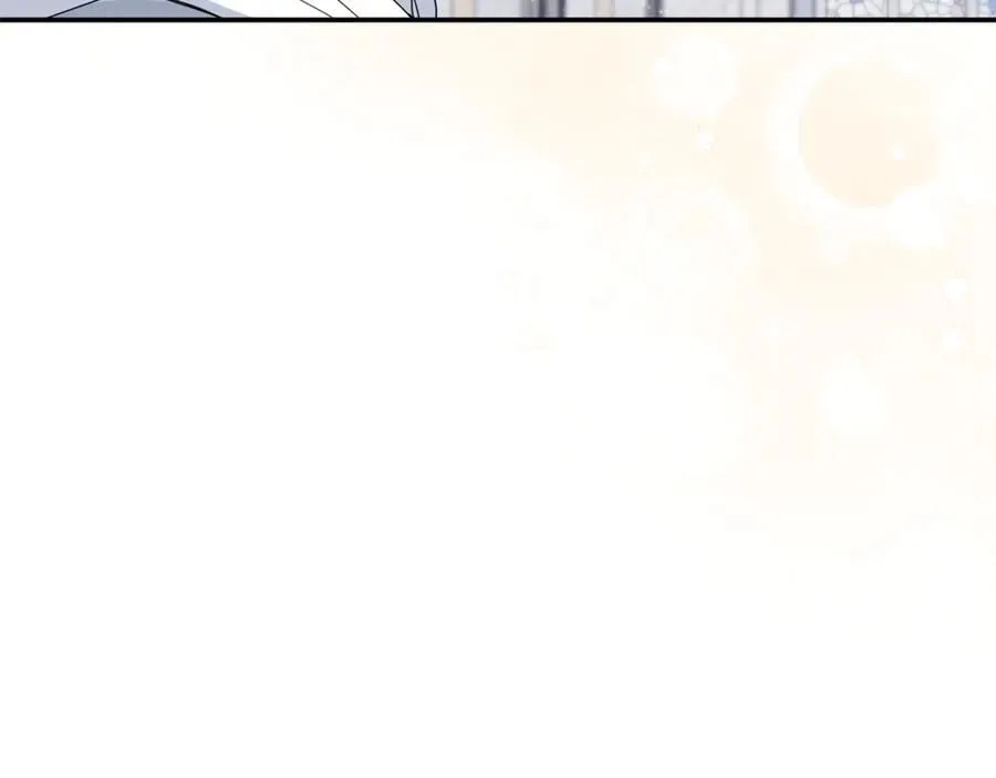 第74话 胸针的意义191