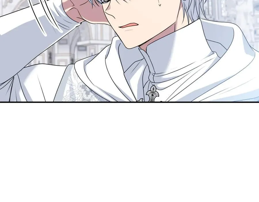 第74话 胸针的意义175