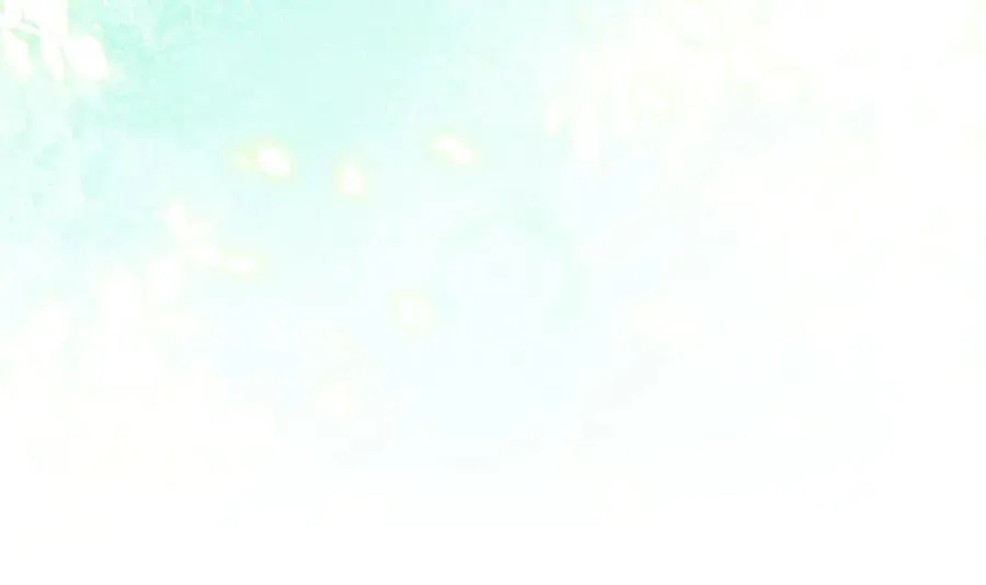 第74话 胸针的意义34