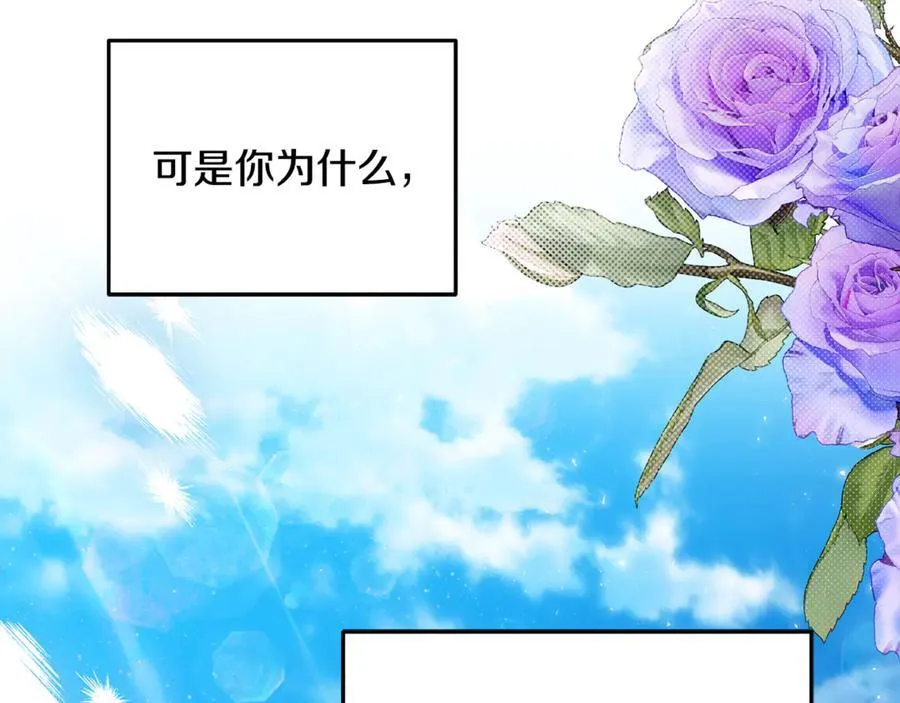 第74话 胸针的意义119