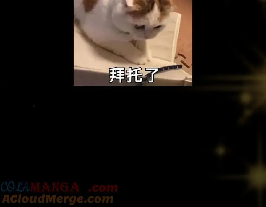 453 平和又美好的一切216
