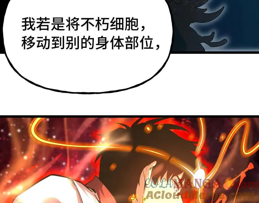 第177话 积分124