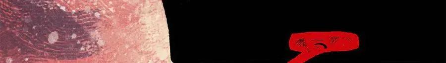 383 万古我罩的，懂？166