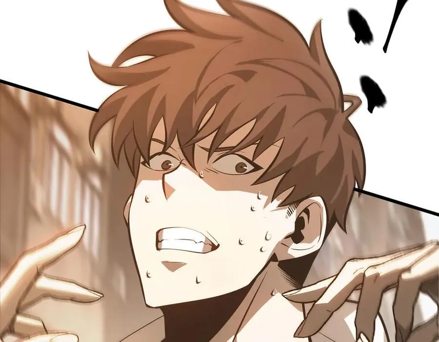 48117