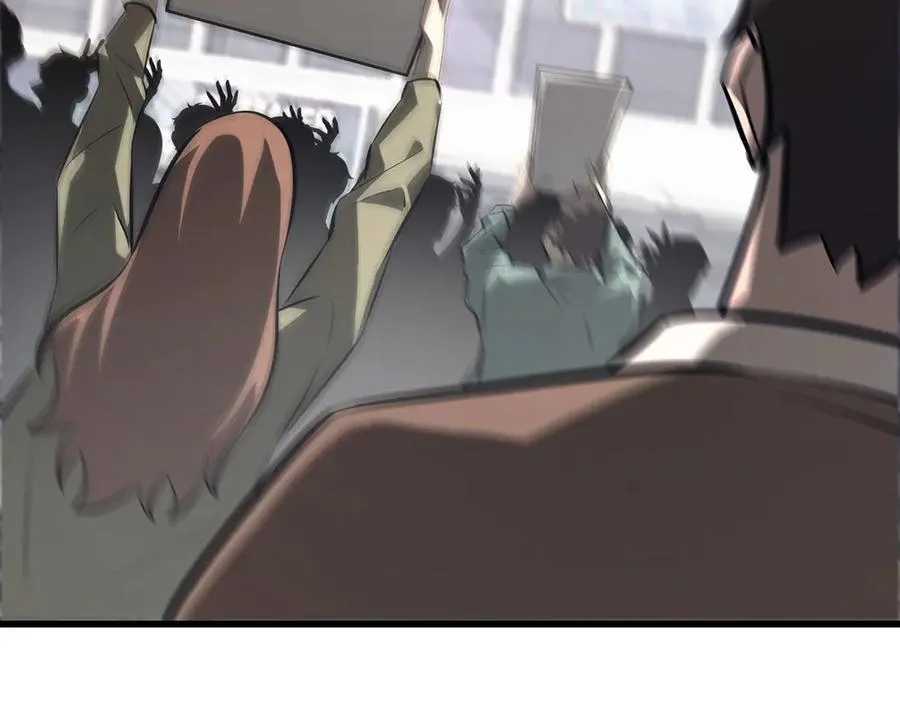 48233