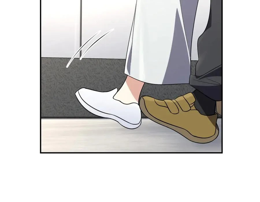 34033