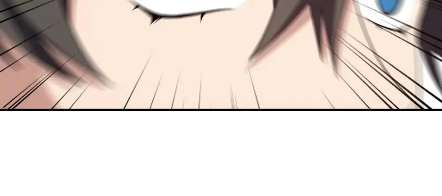 33431