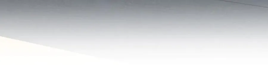 33881