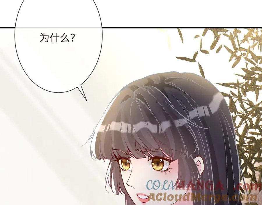 第337 身世69