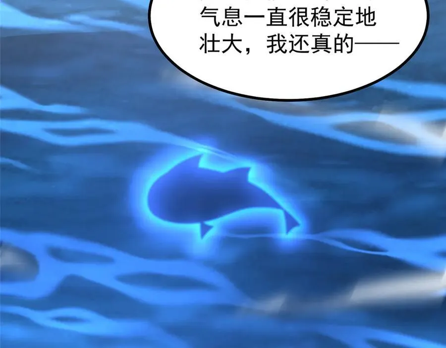 367 胖大海恢复11
