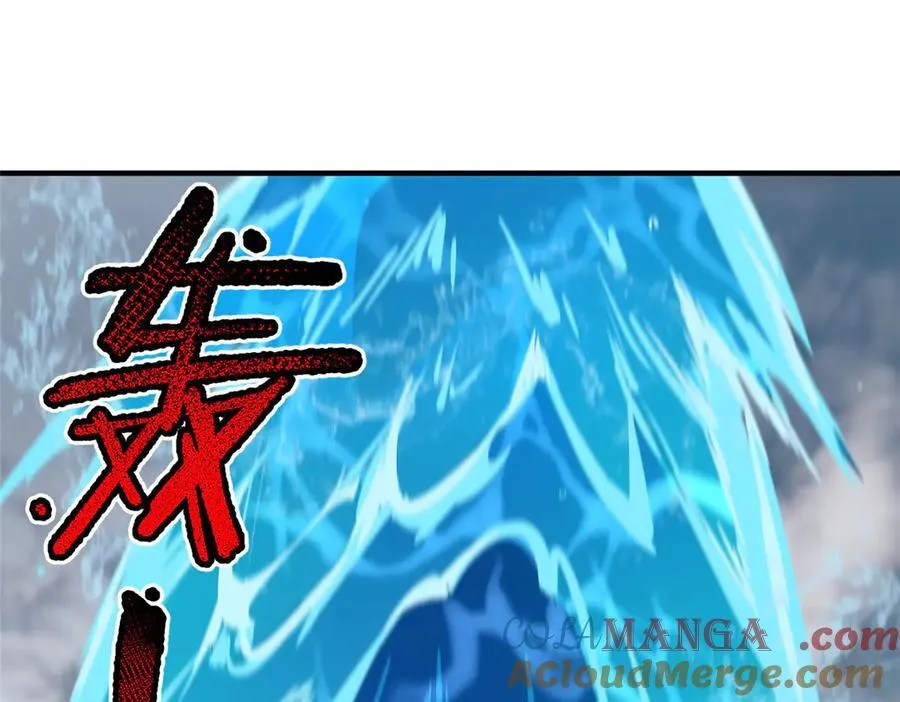 367 胖大海恢复16