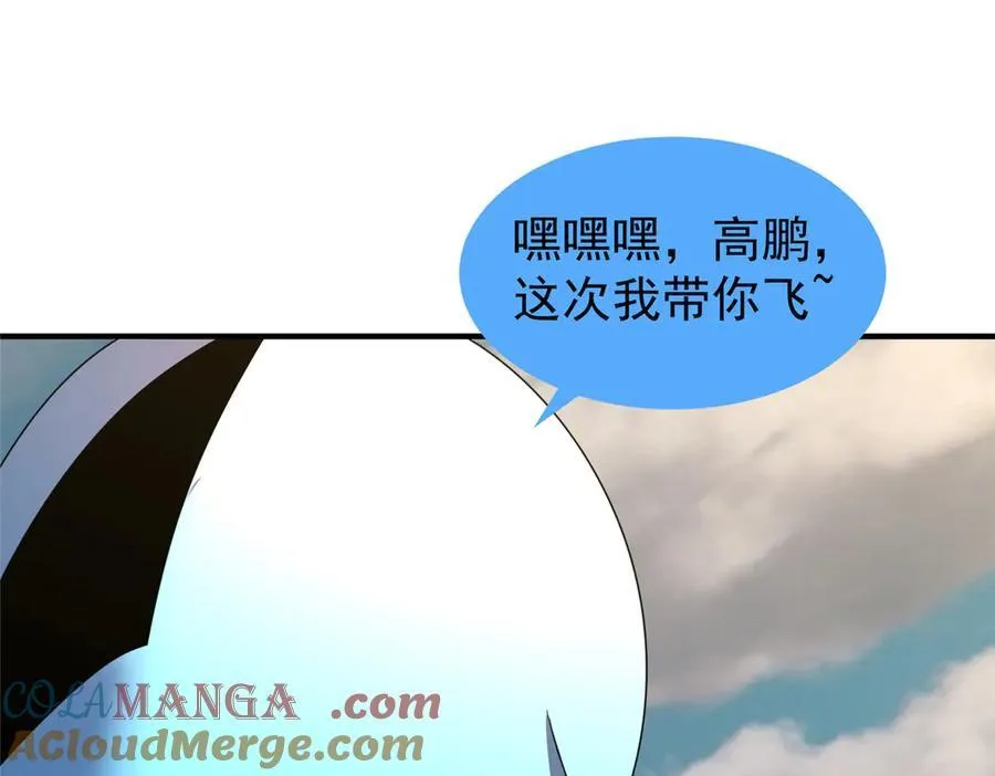 367 胖大海恢复84