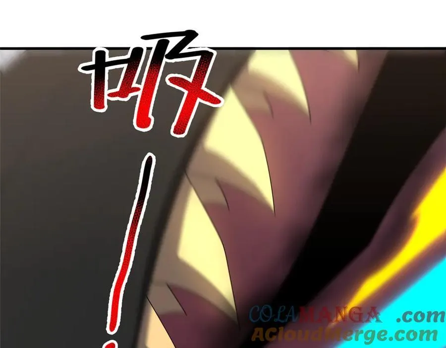 367 胖大海恢复48