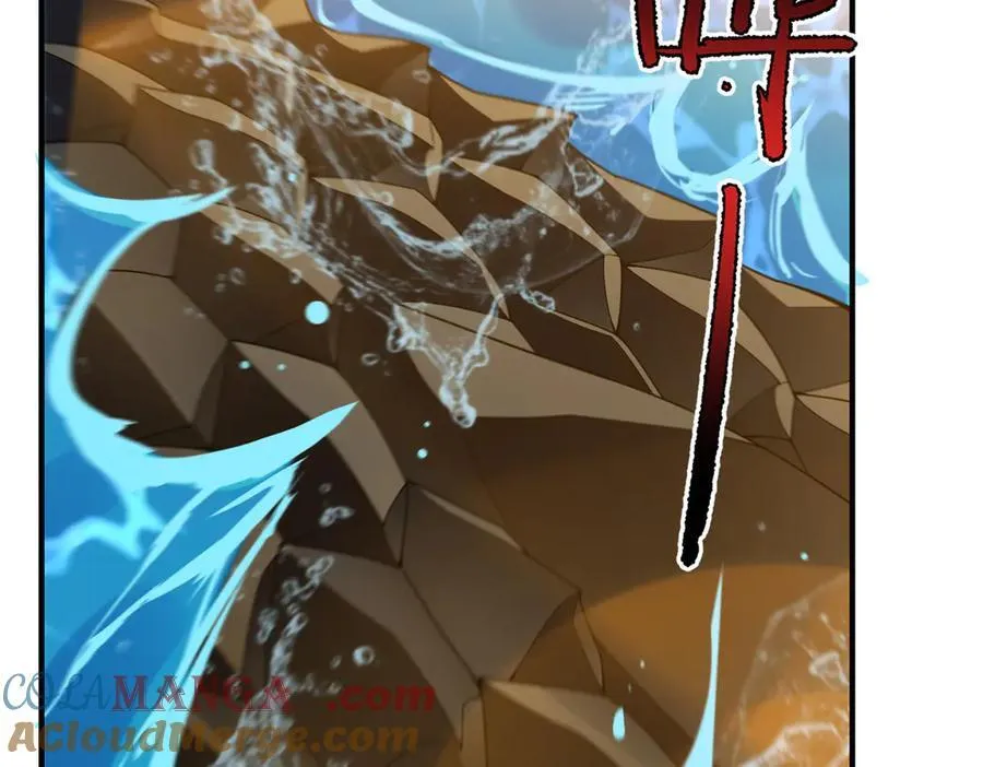 367 胖大海恢复20