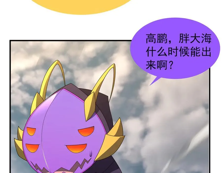 367 胖大海恢复7