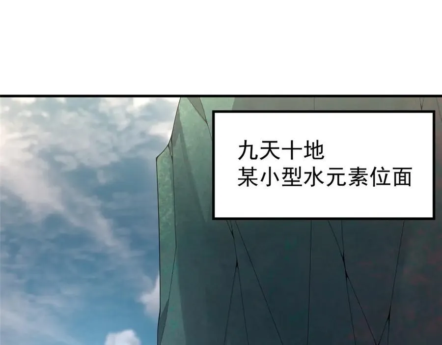 367 胖大海恢复2