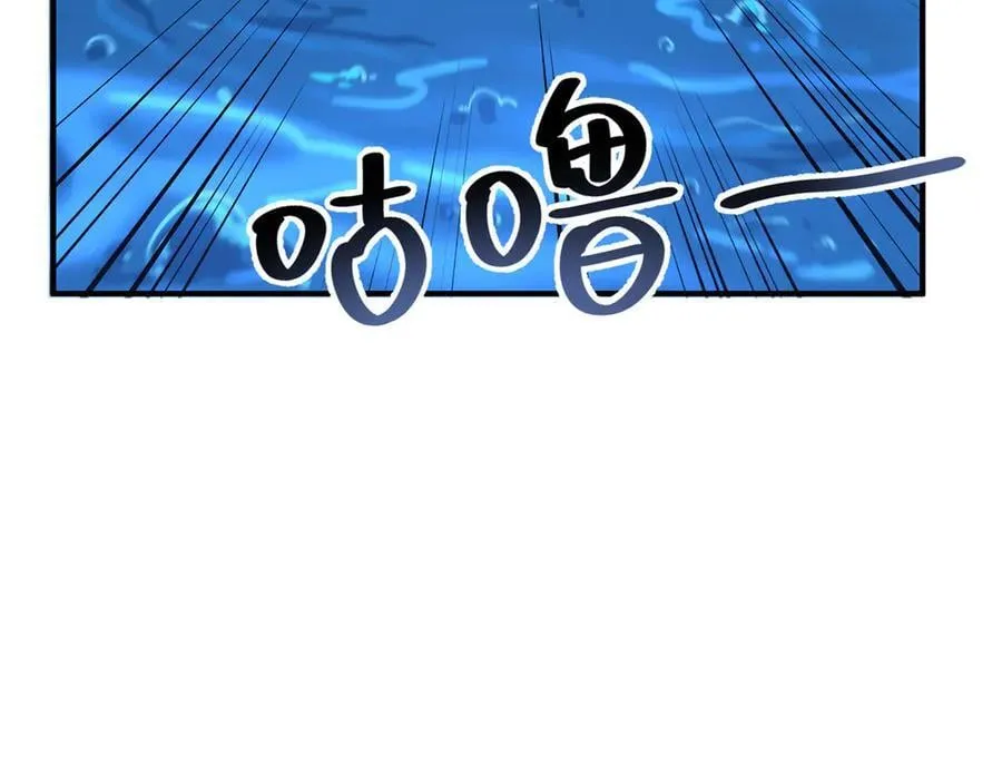 367 胖大海恢复14