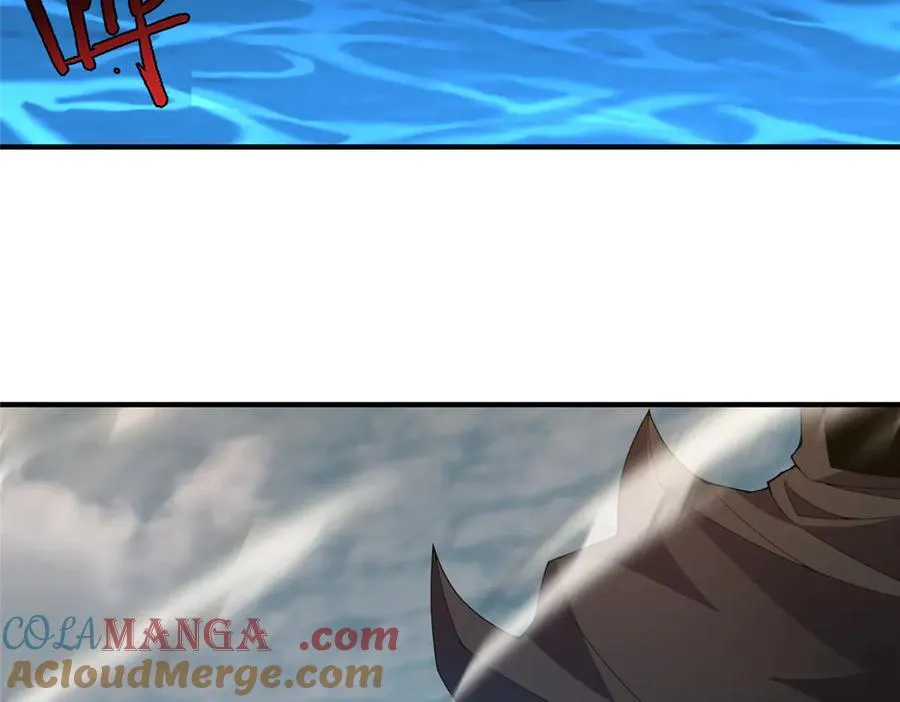367 胖大海恢复4