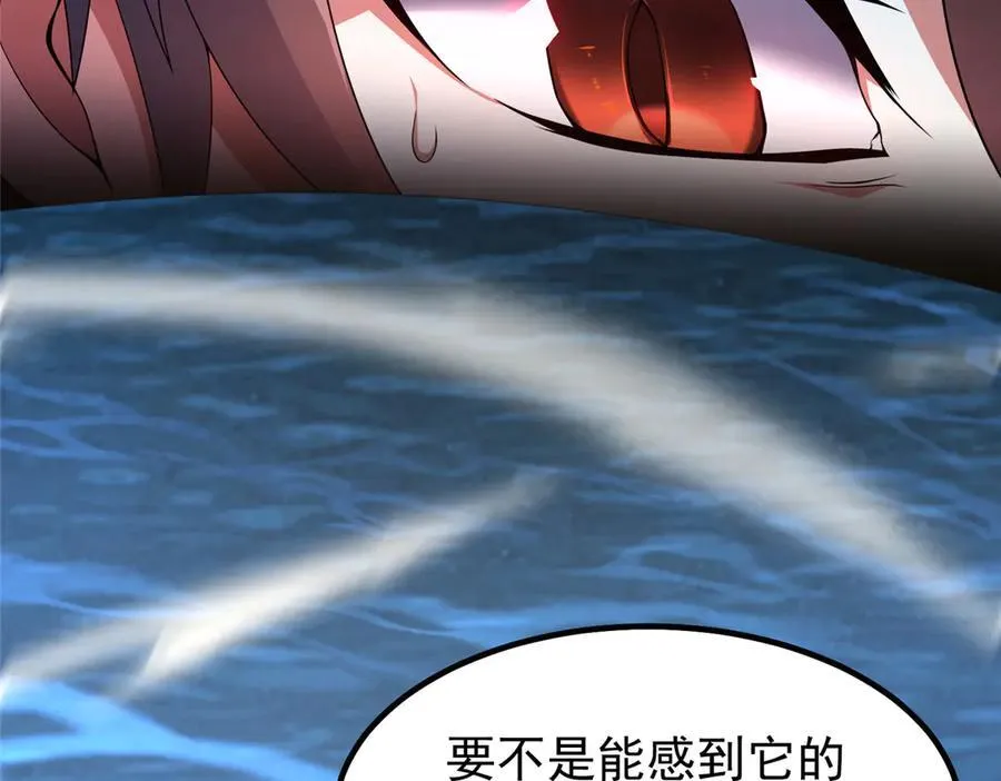 367 胖大海恢复10