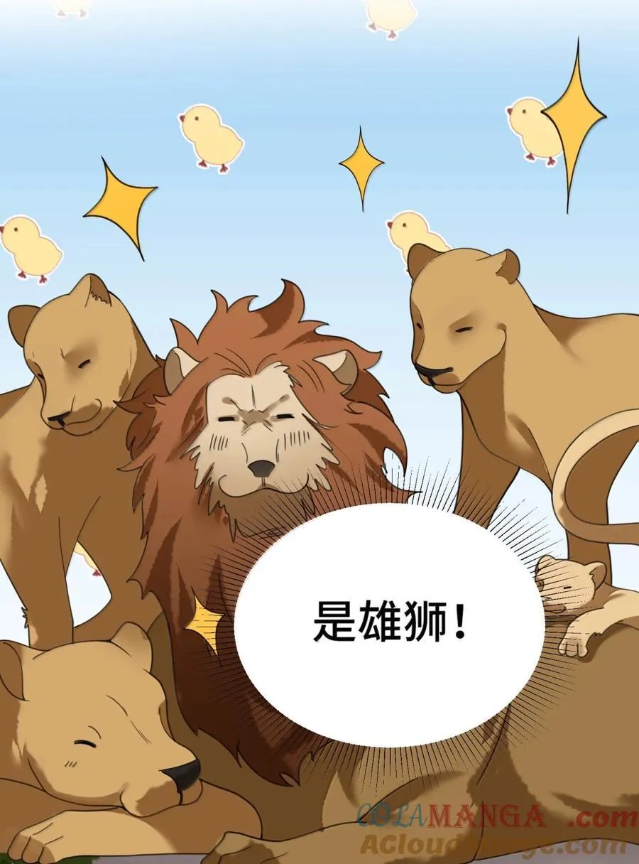 188 好奇……猫猫54