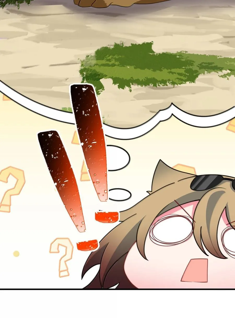 188 好奇……猫猫55