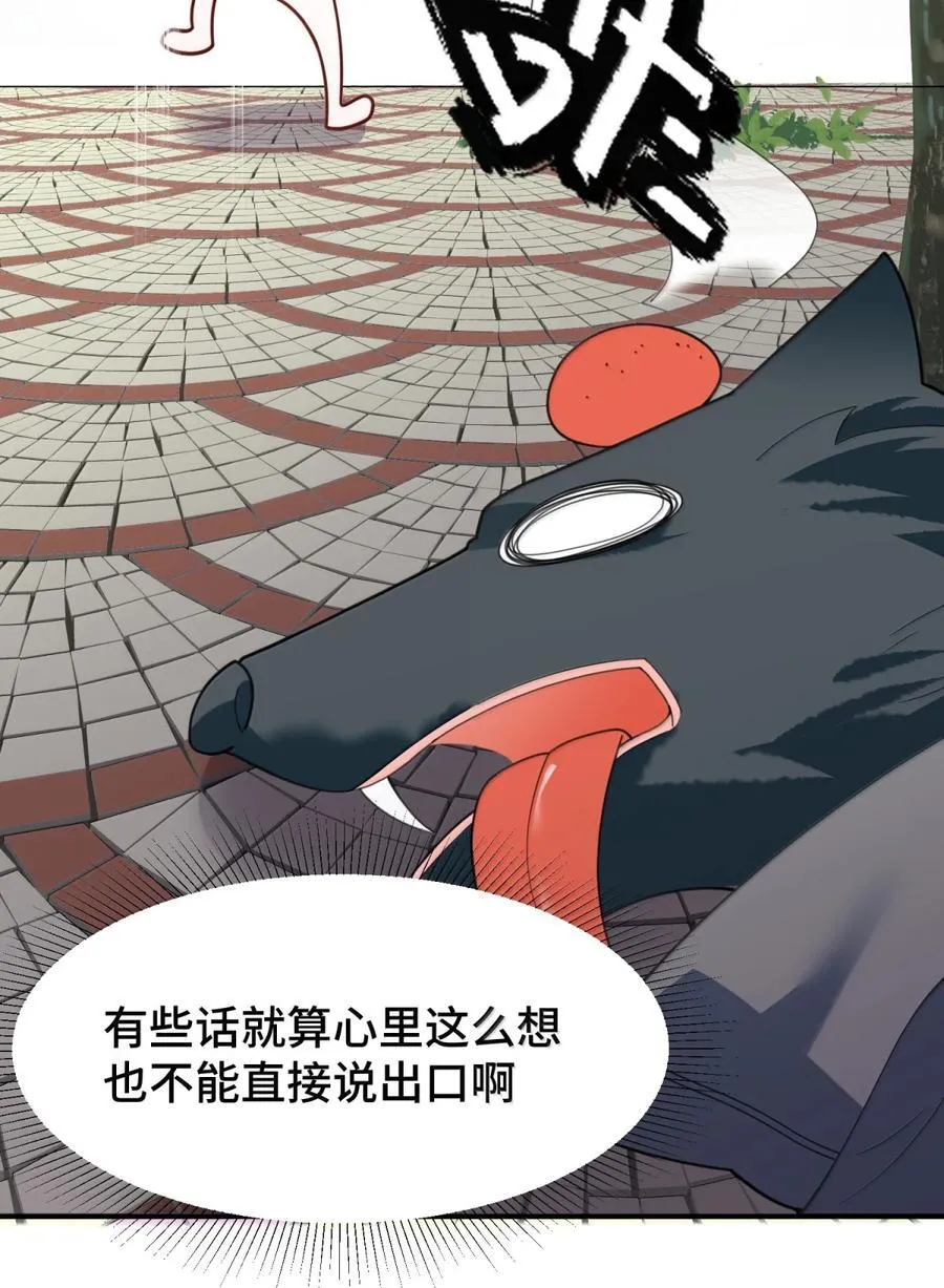 188 好奇……猫猫13