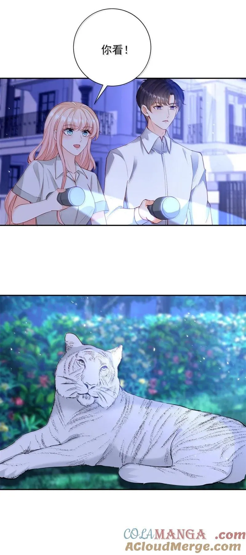 第395话 白虎22