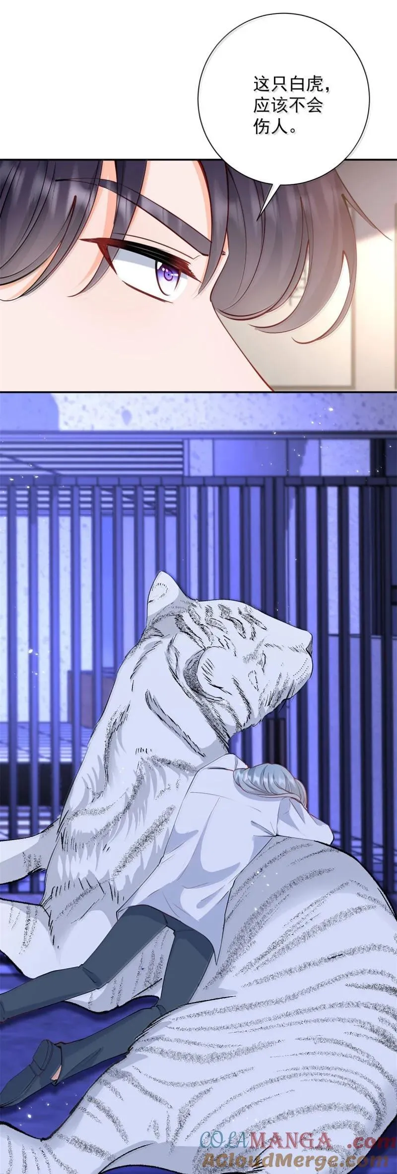 第395话 白虎8