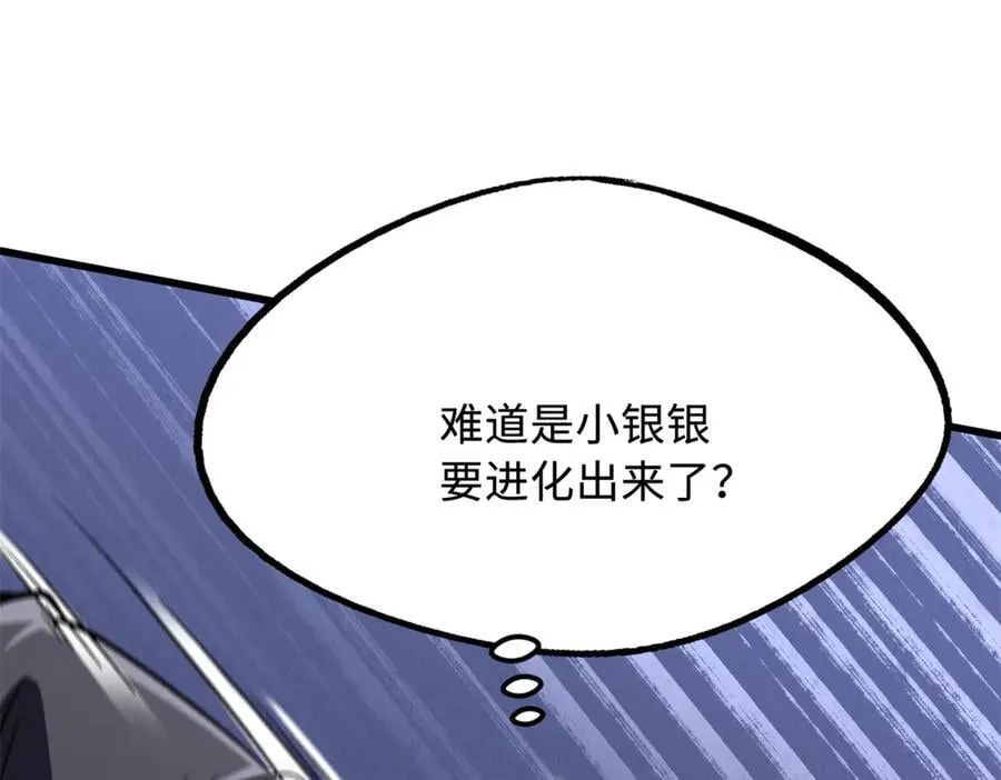 307 小银银，进化完成！145