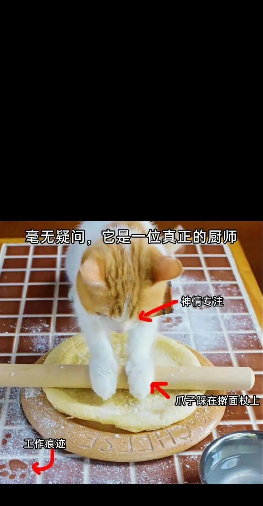 157 【番外】应战与她-上94