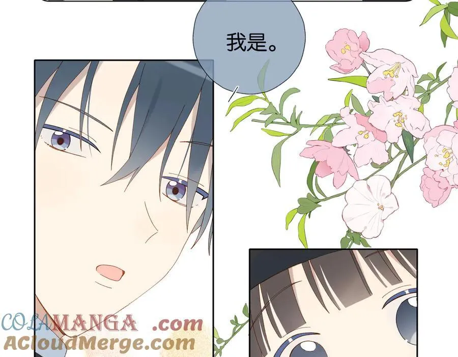 第116话 追求者24