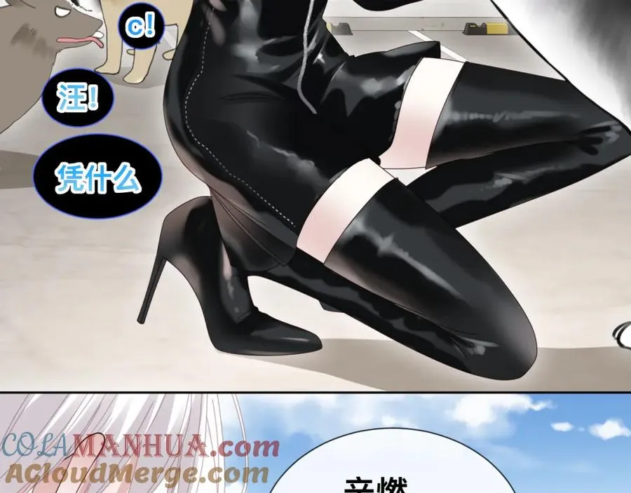 第12话 辛巴！我相信你！104