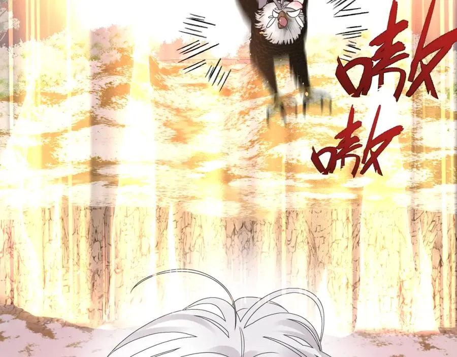 第12话 辛巴！我相信你！173