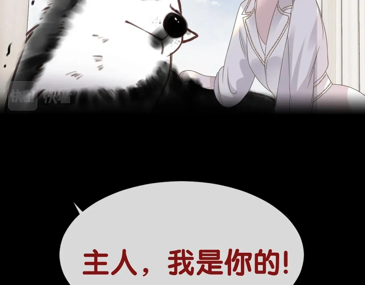 序章   一只汪的男主宣言49