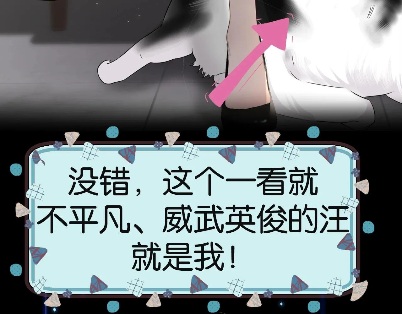 序章   一只汪的男主宣言4