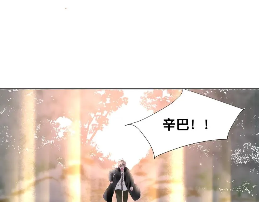 第12话 辛巴！我相信你！169