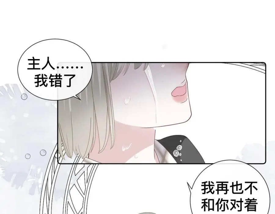 第12话 辛巴！我相信你！1