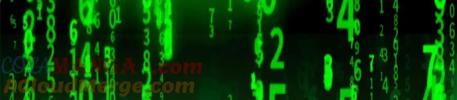 309 傻子才信，黑色颈箍44