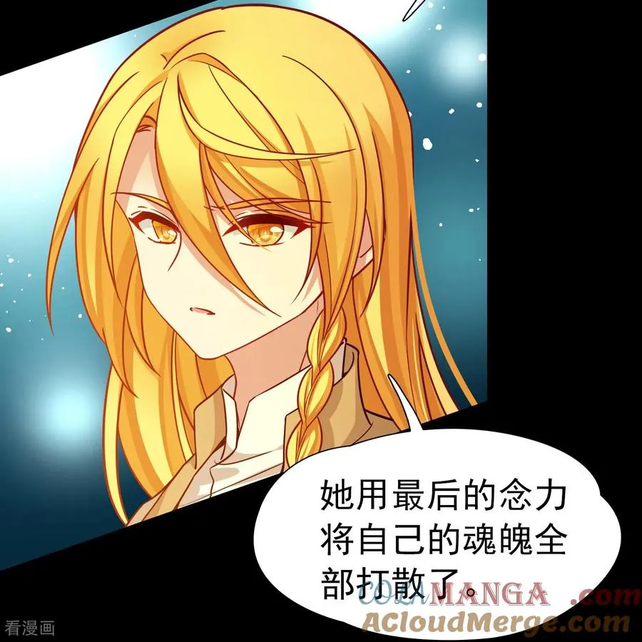 第2季第258话 光精灵族的真面目44