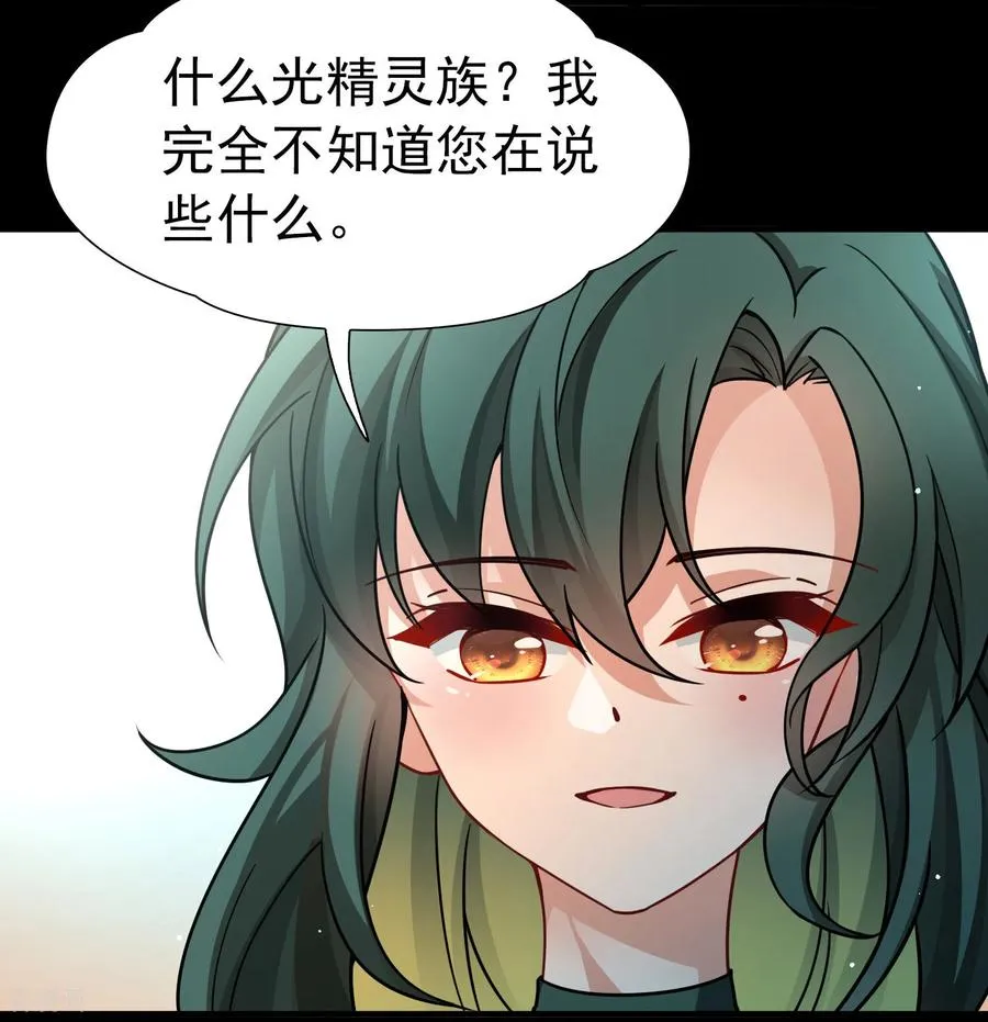 第2季第256话 光精灵族的真面目219