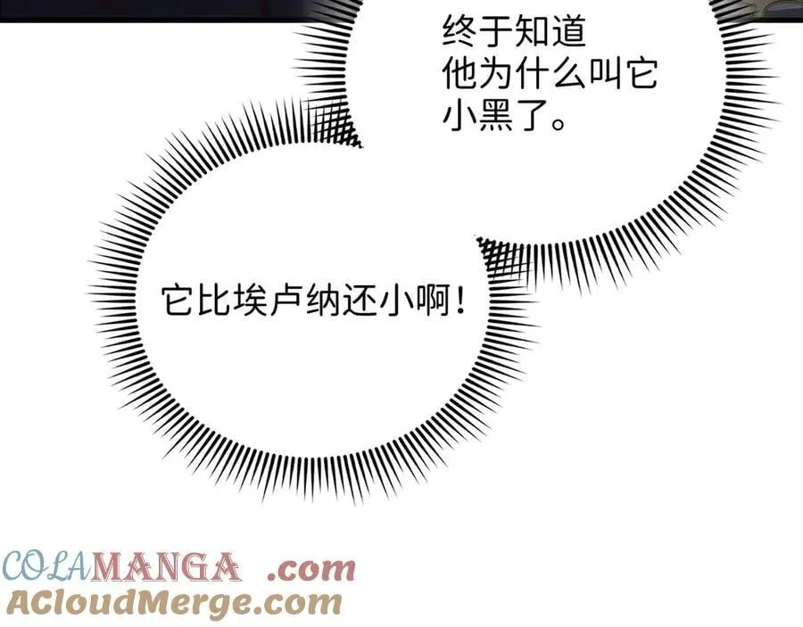 第131话 高级精灵136