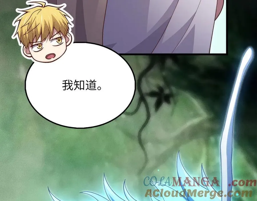 第131话 高级精灵116