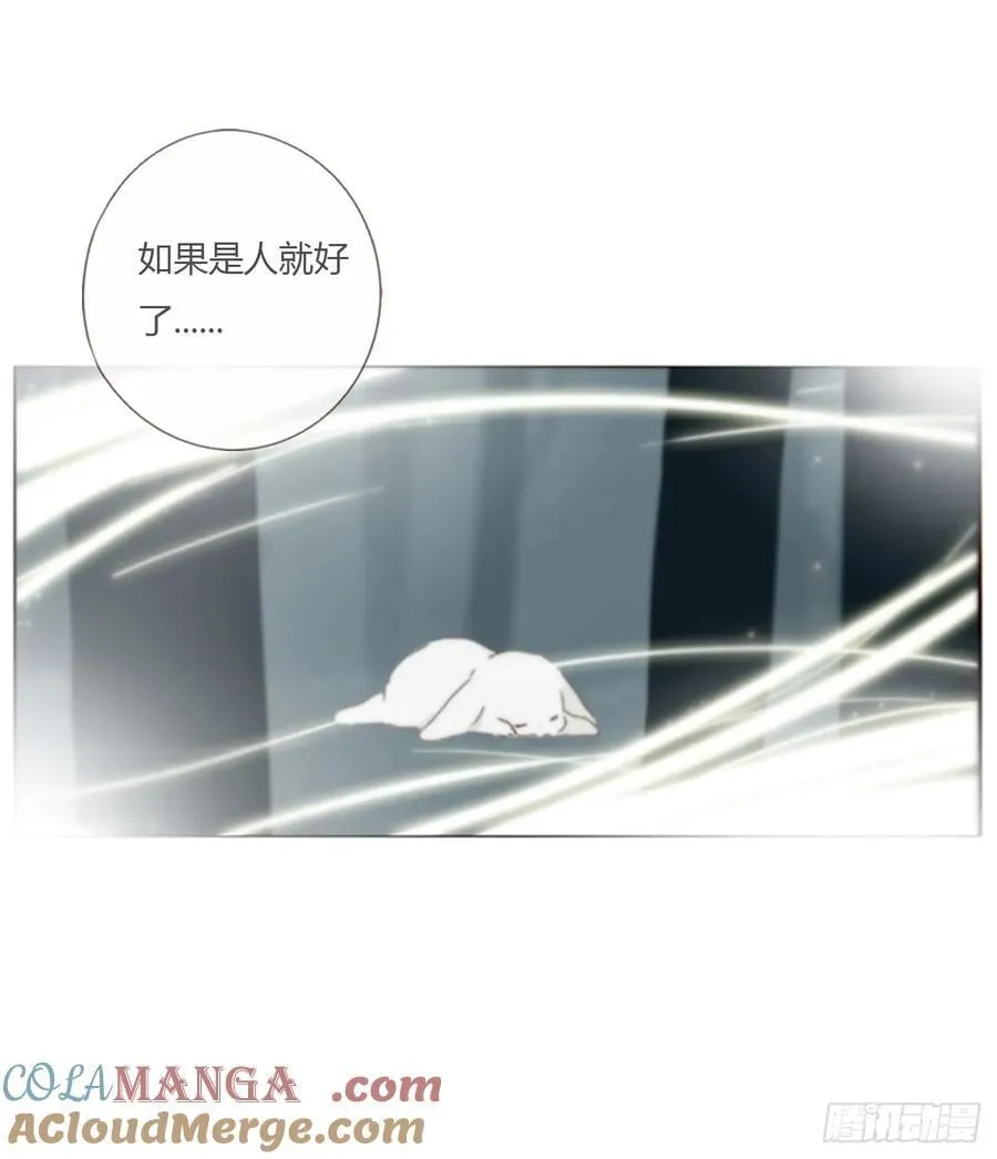 一六四章 礼物18