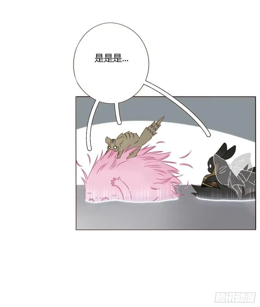 一六四章 礼物4