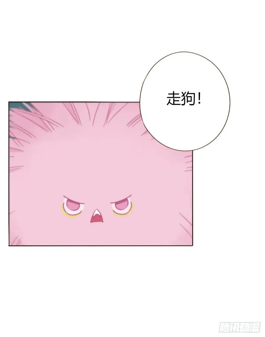 一六三章 轻松的一天22