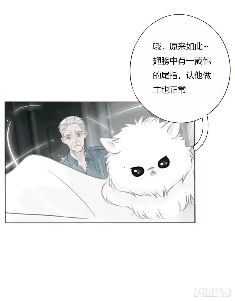 一六五章 馊主意4