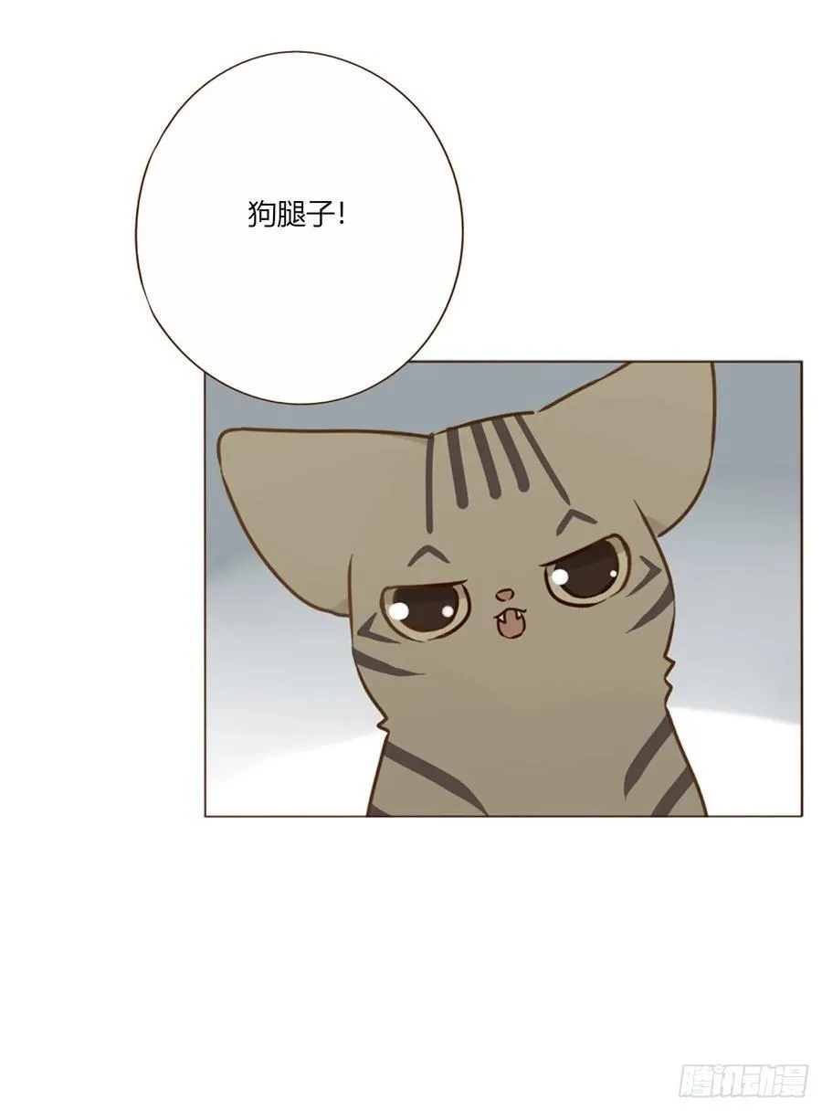 一六三章 轻松的一天23