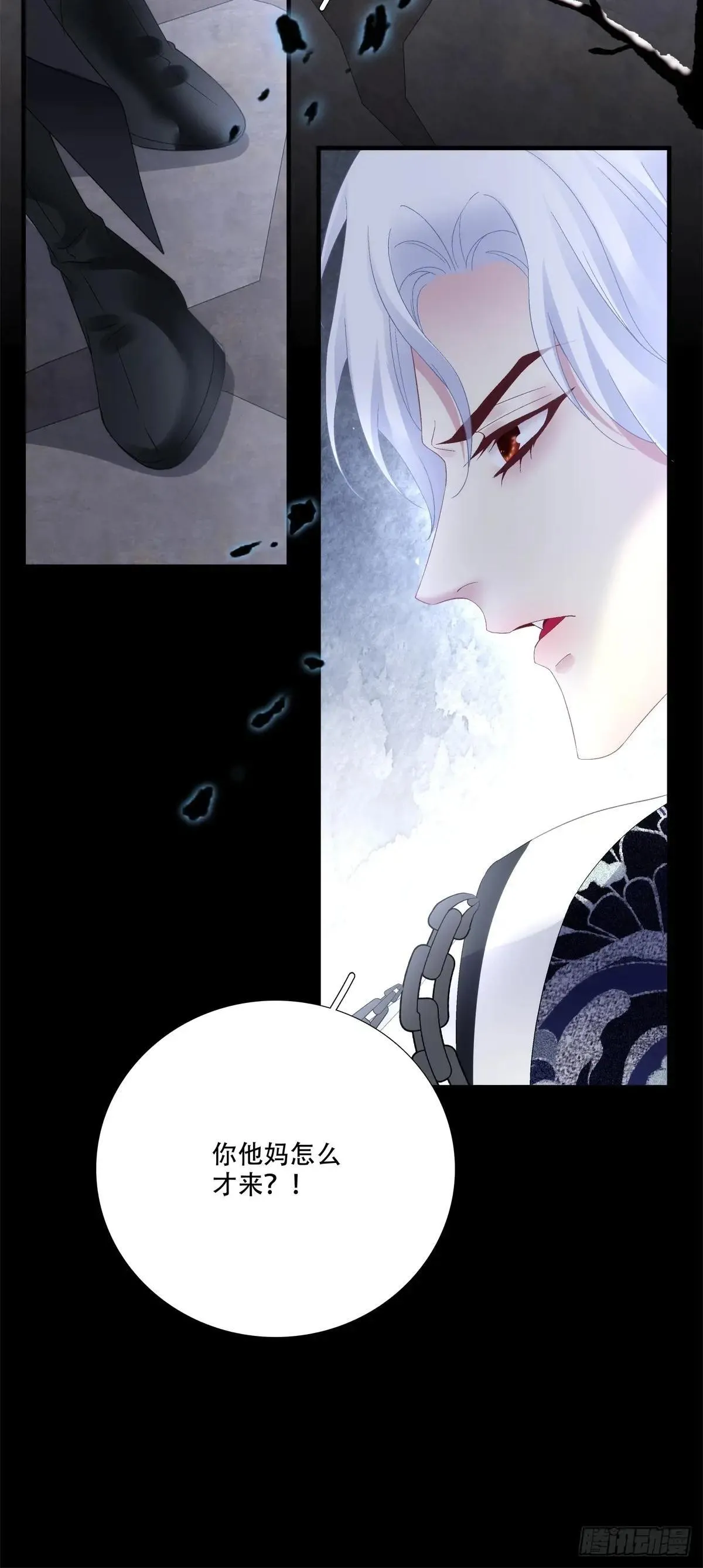 真是师父的好宝宝！36