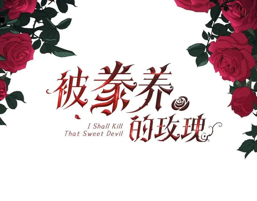 第115话 喜欢的人2